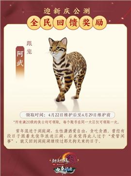 防盛大天龙八部私服